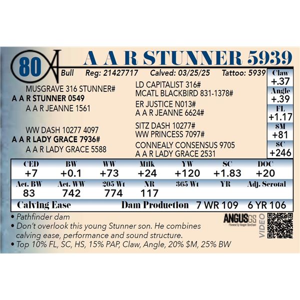 A A R Stunner 5939