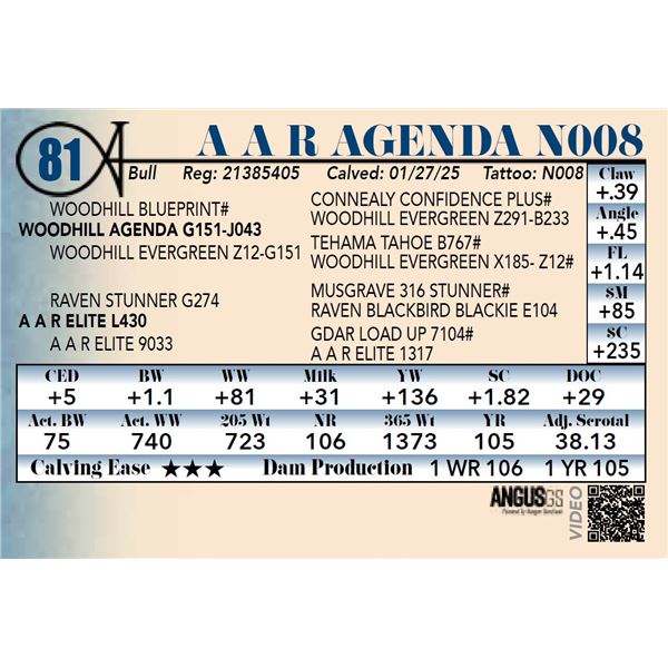 A A R Agenda N008