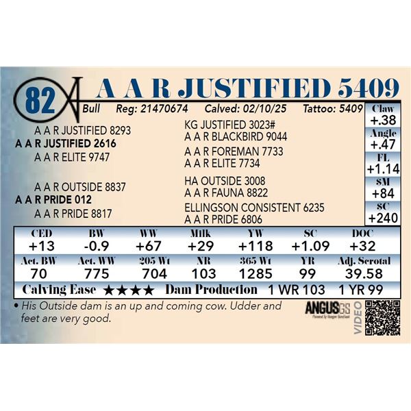 A A R Justified 5409