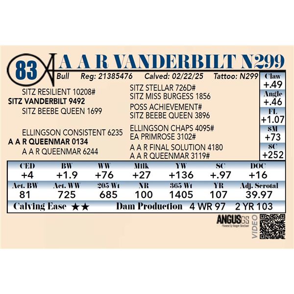 A A R Vanderbilt N299