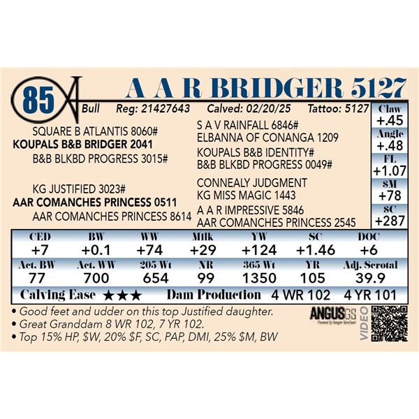 A A R Bridger 5127
