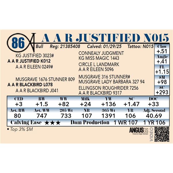 A A R Justified N015