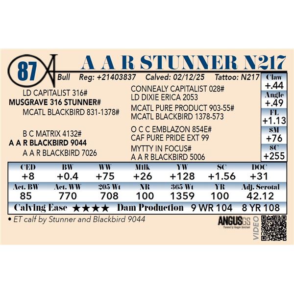 A A R Stunner N217