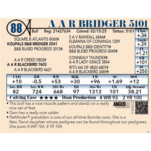 A A R Bridger 5101