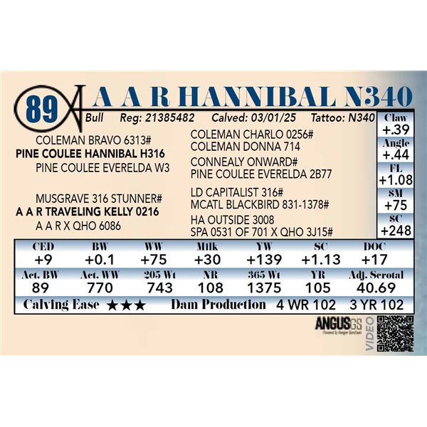 A A R Hannibal N340
