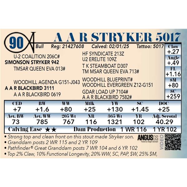 A A R Stryker 5017