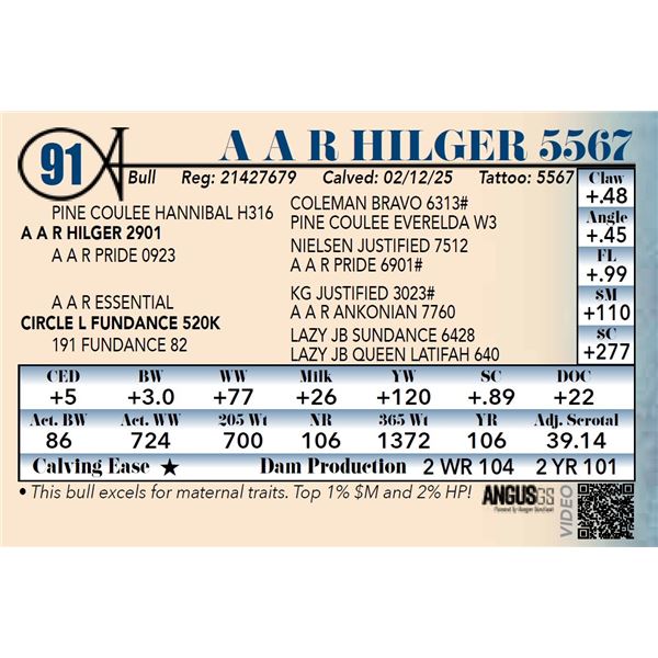 A A R Hilger 5567