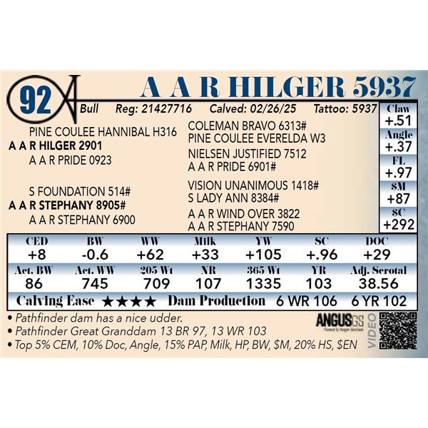 A A R Hilger 5937