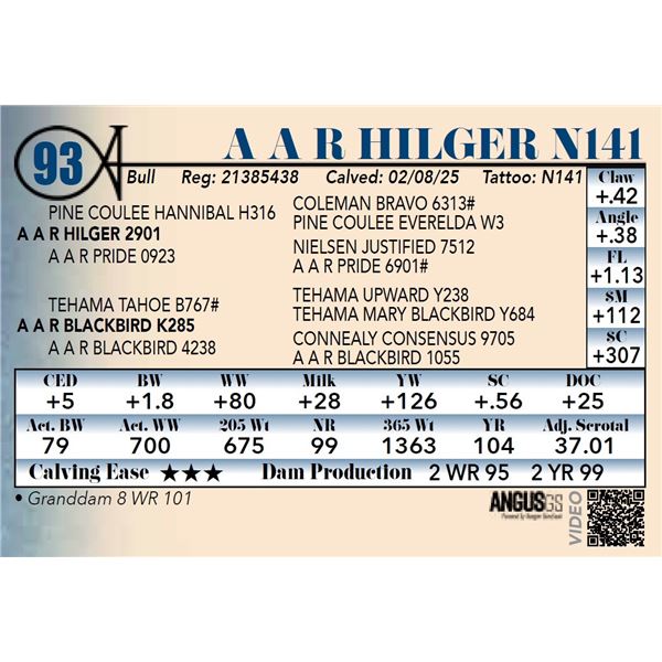 A A R Hilger N141
