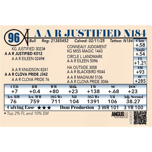 A A R Justified N184