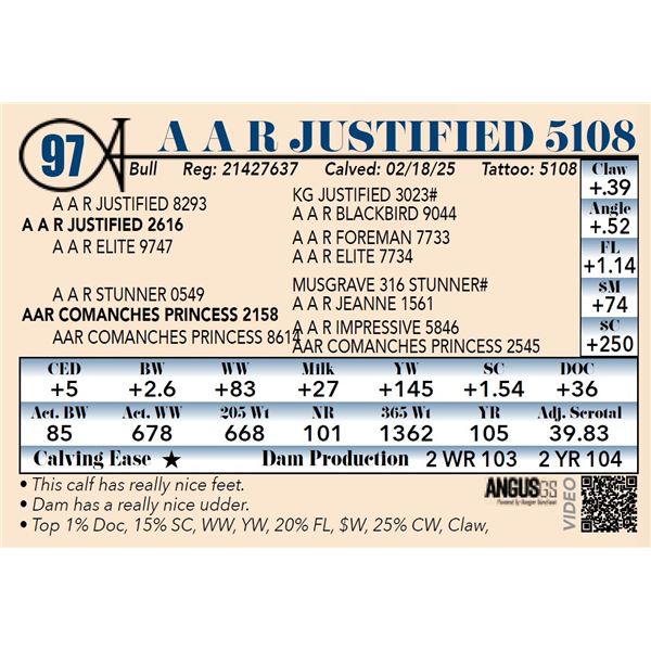 A A R Justified 5108