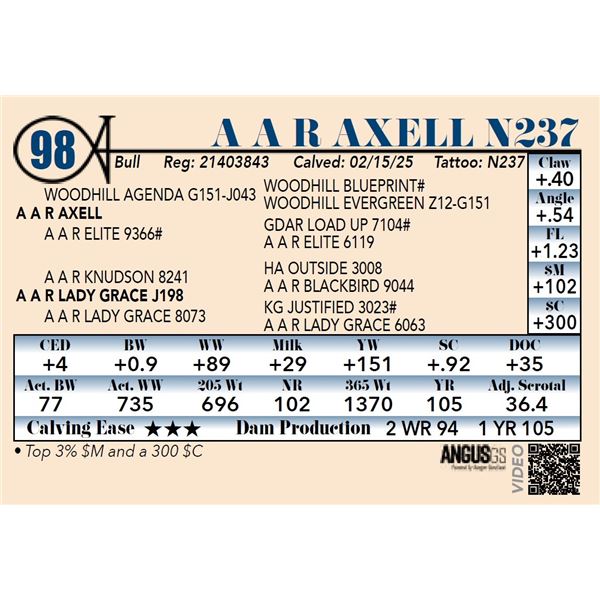 A A R Axell N237