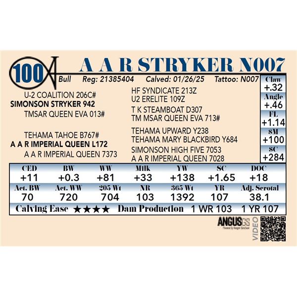A A R Stryker N007
