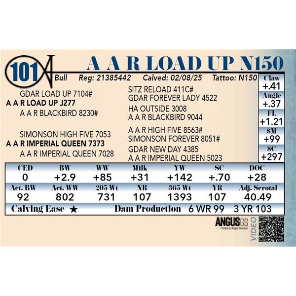 A A R Load Up N150
