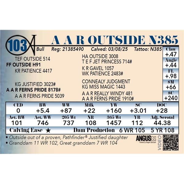 A A R Outside N385