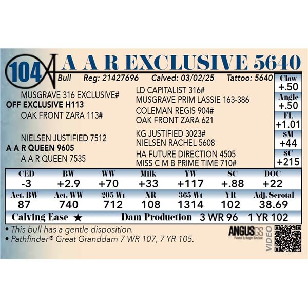 A A R Exclusive 5640