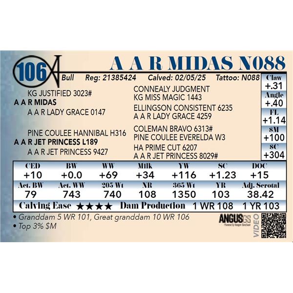 A A R Midas N088