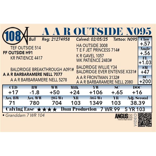 A A R Outside N095