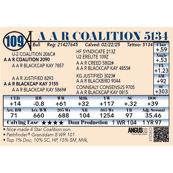 A A R Coalition 5134