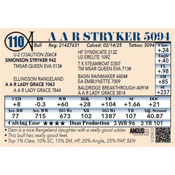A A R Stryker 5094