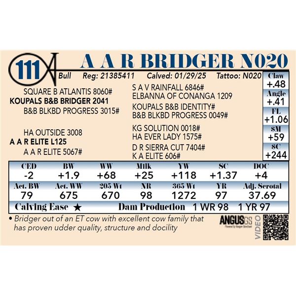 A A R Bridger N020