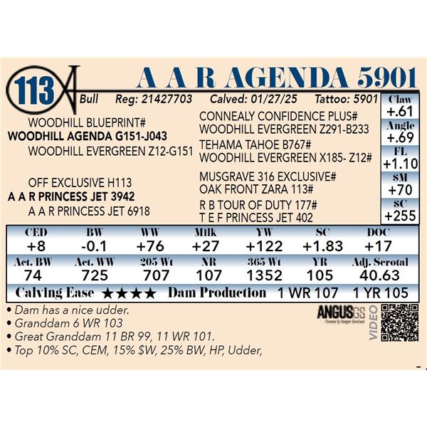 A A R Agenda 5901