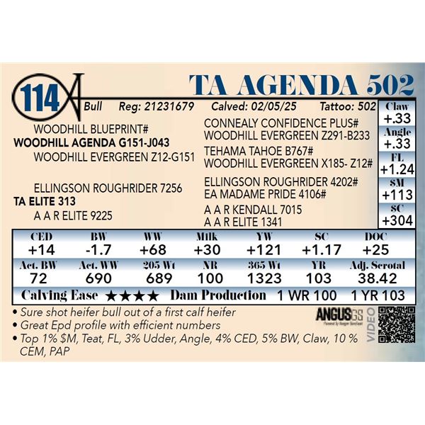 TA Agenda 502