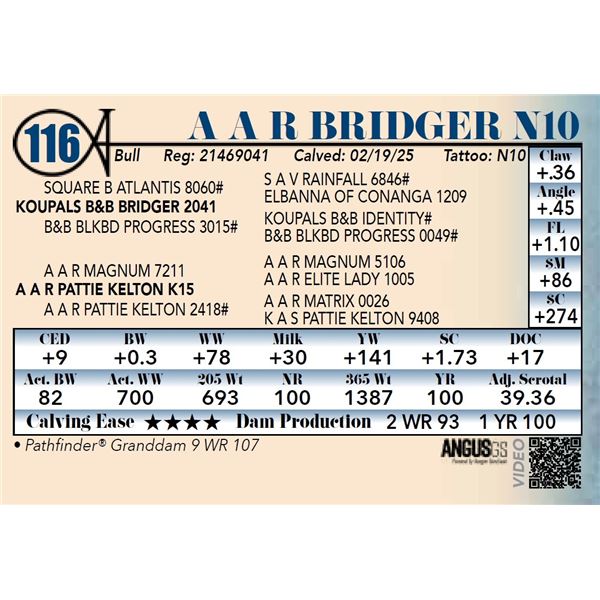 A A R Bridger N10