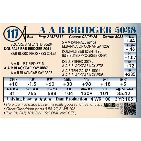 A A R Bridger 5038