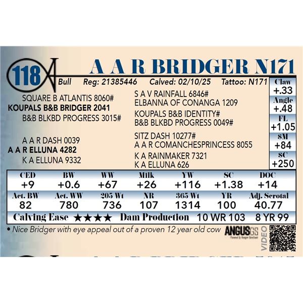 A A R Bridger N171