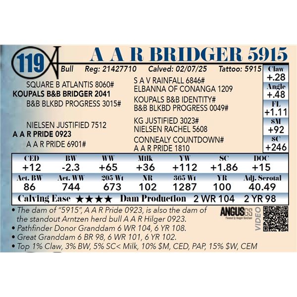 A A R Bridger 5915