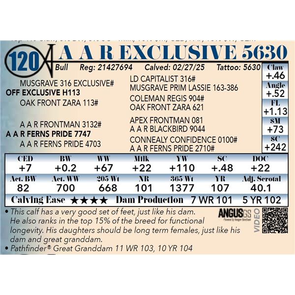 A A R Exclusive 5630