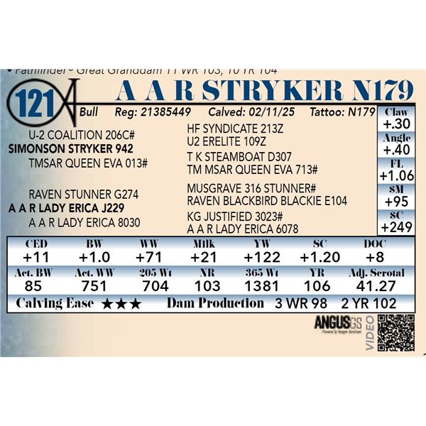 A A R Stryker N179