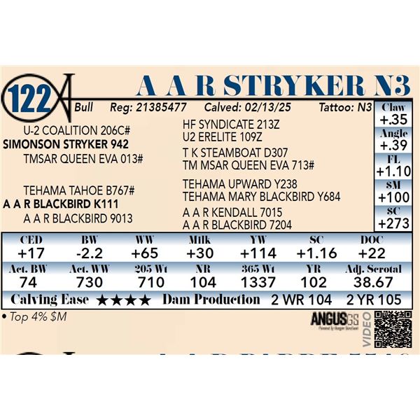 A A R Stryker N3
