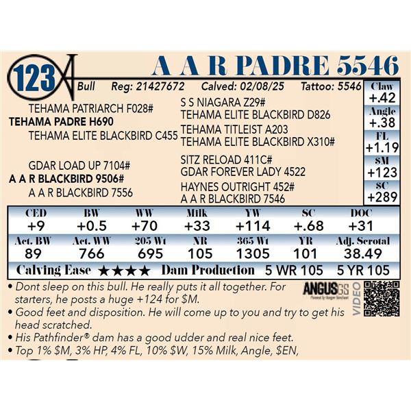 A A R Padre 5546