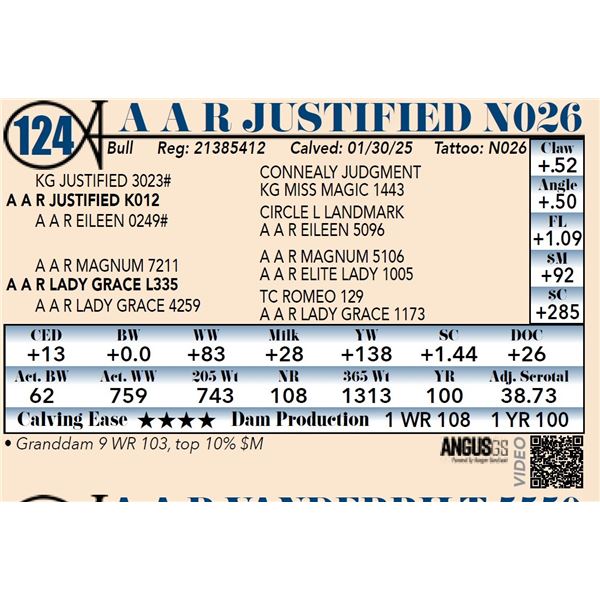 A A R Justified N026