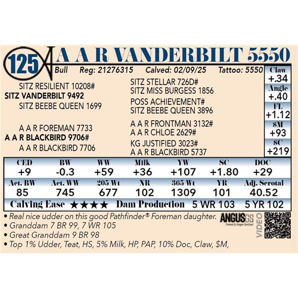A A R Vanderbilt 5550