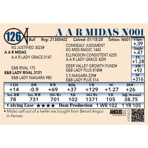 A A R Midas N001