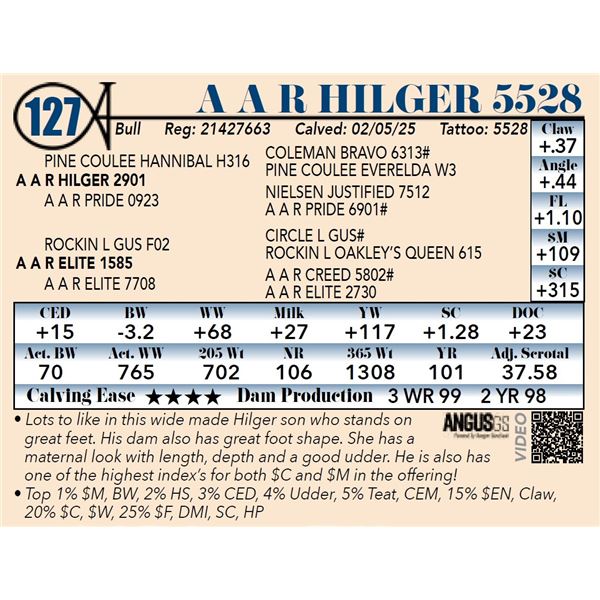A A R Hilger 5528