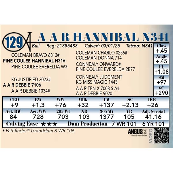 A A R Hannibal N341