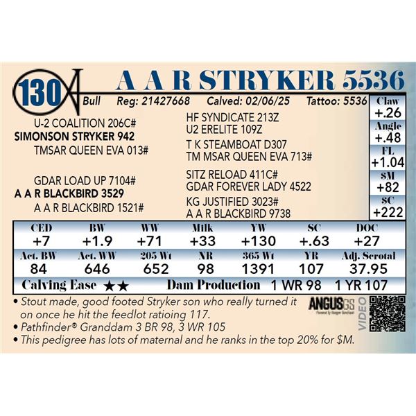 A A R Stryker 5536
