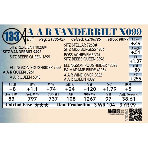 A A R Vanderbilt N099