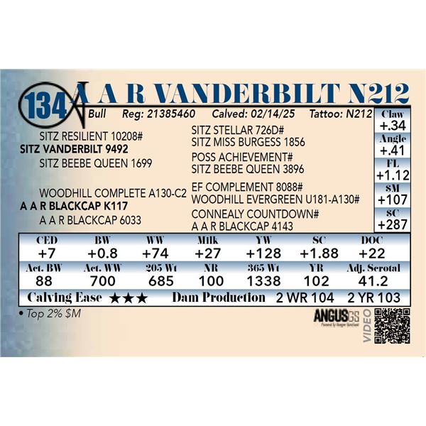 A A R Vanderbilt N212