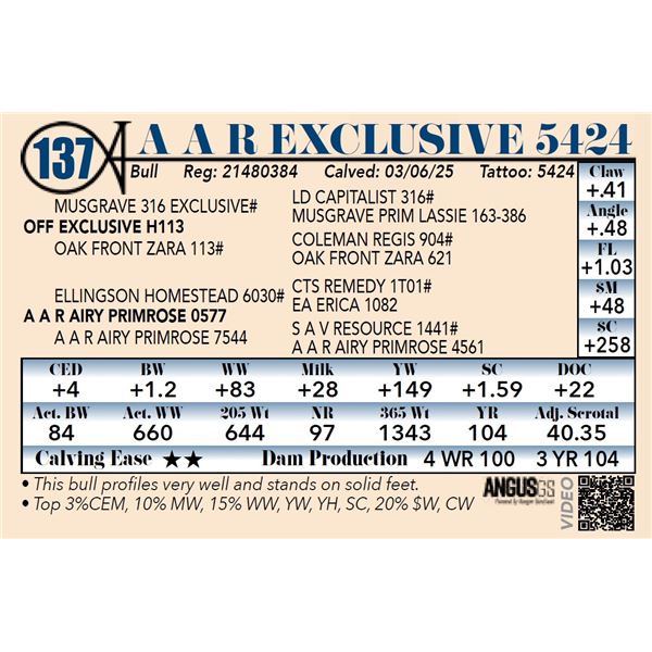 A A R Exclusive 5424