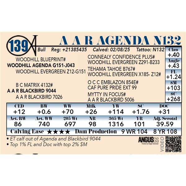 A A R Agenda N132