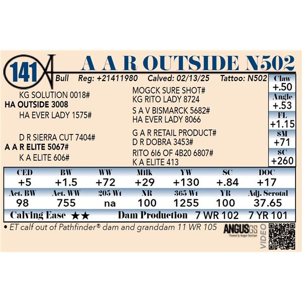 A A R Outside N502
