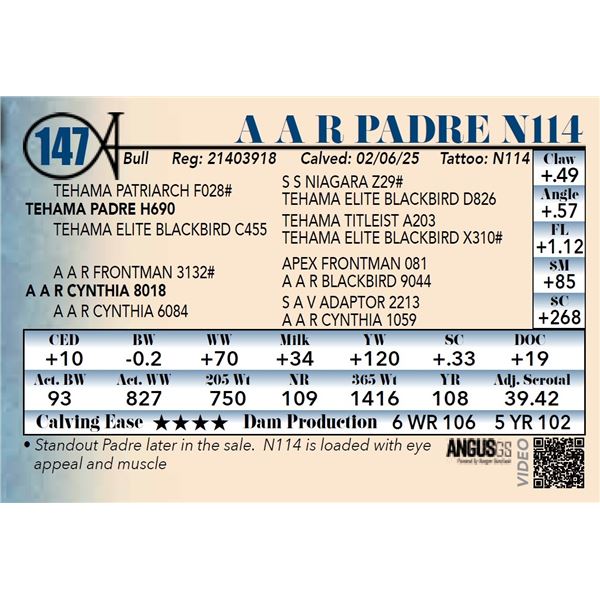 A A R Padre N114