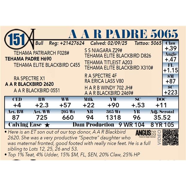 A A R Padre 5065