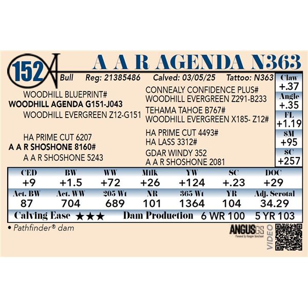 A A R Agenda N363