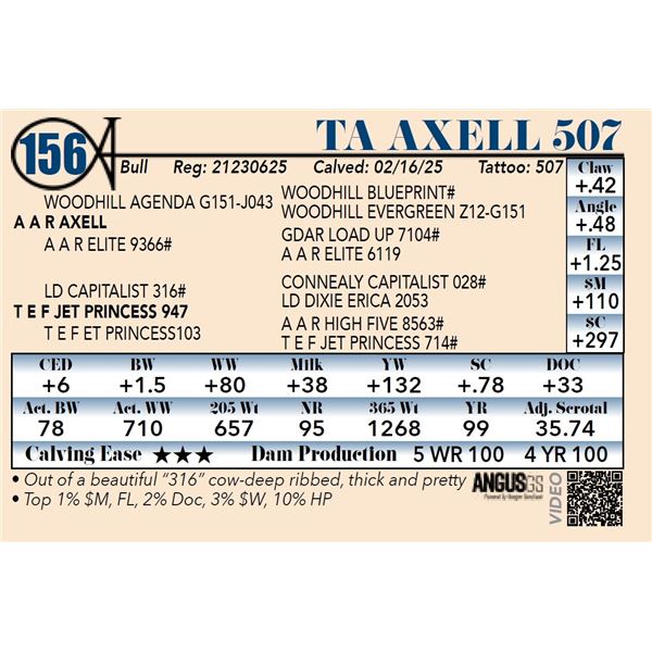 TA Axell 507